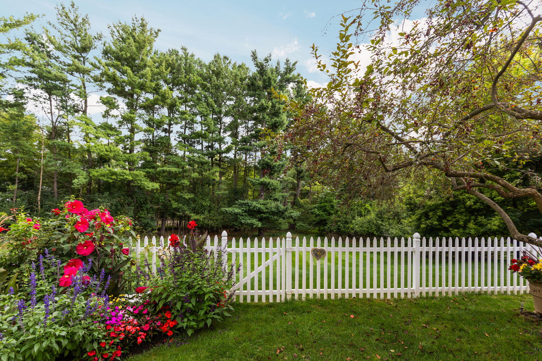 2464 Blueberry Lane
