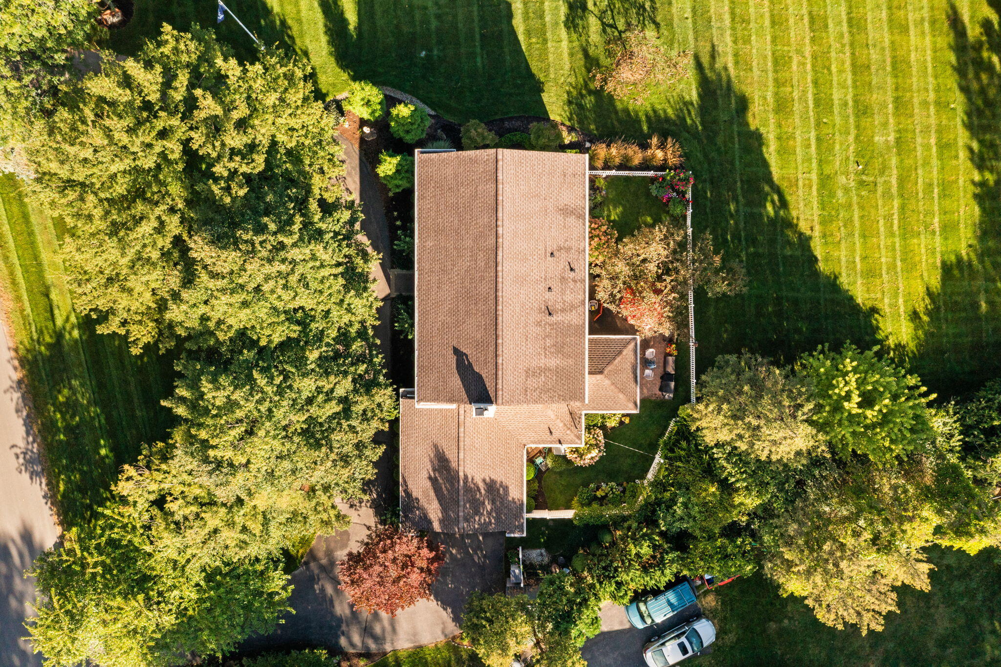 2464 Blueberry Lane