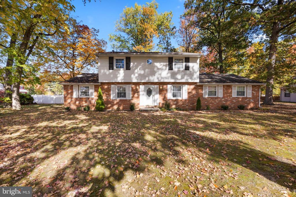 24 MAPLE AVENUE