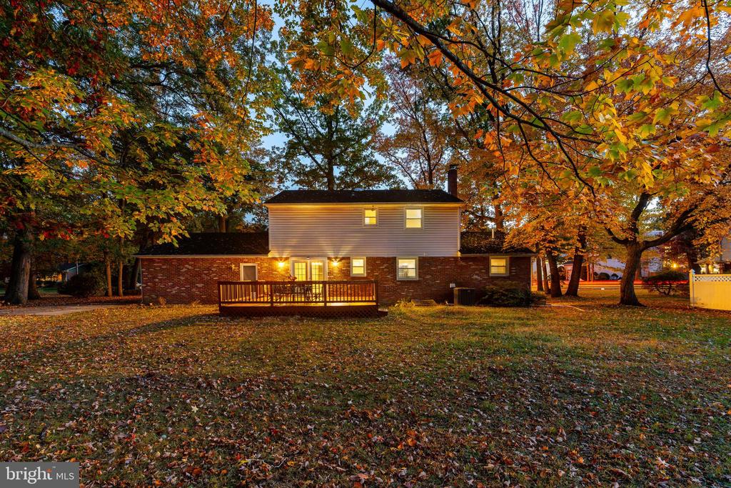 24 MAPLE AVENUE