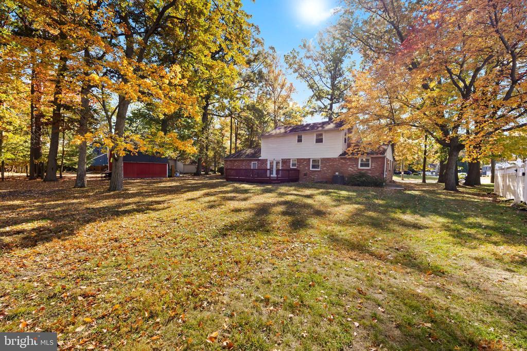 24 MAPLE AVENUE