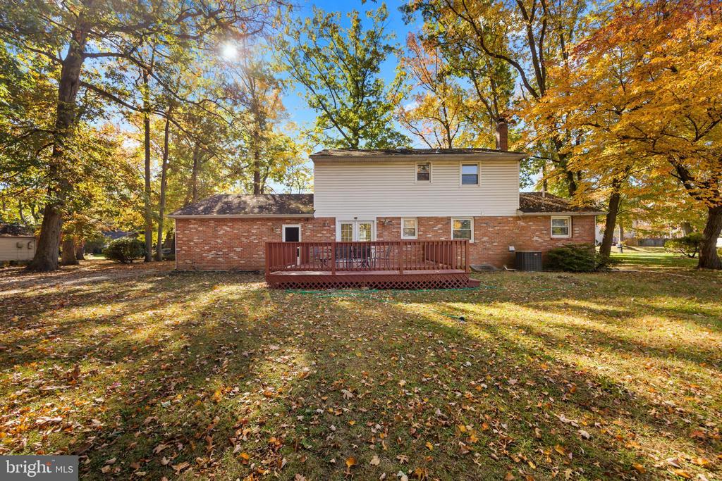 24 MAPLE AVENUE