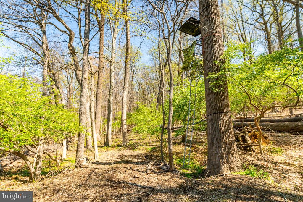 305 Dutton Mill Rd