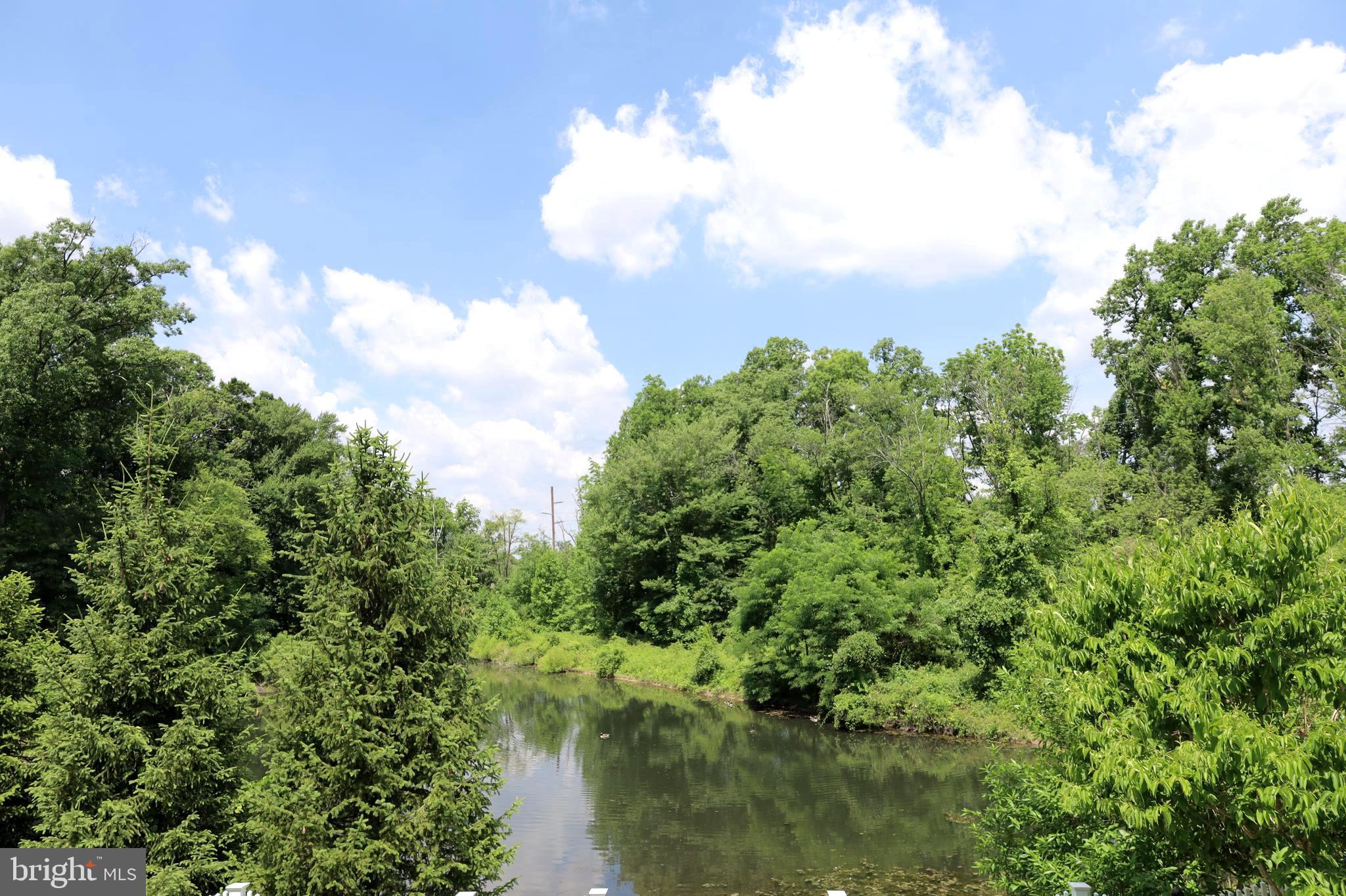 3674 Copper Beech Cir