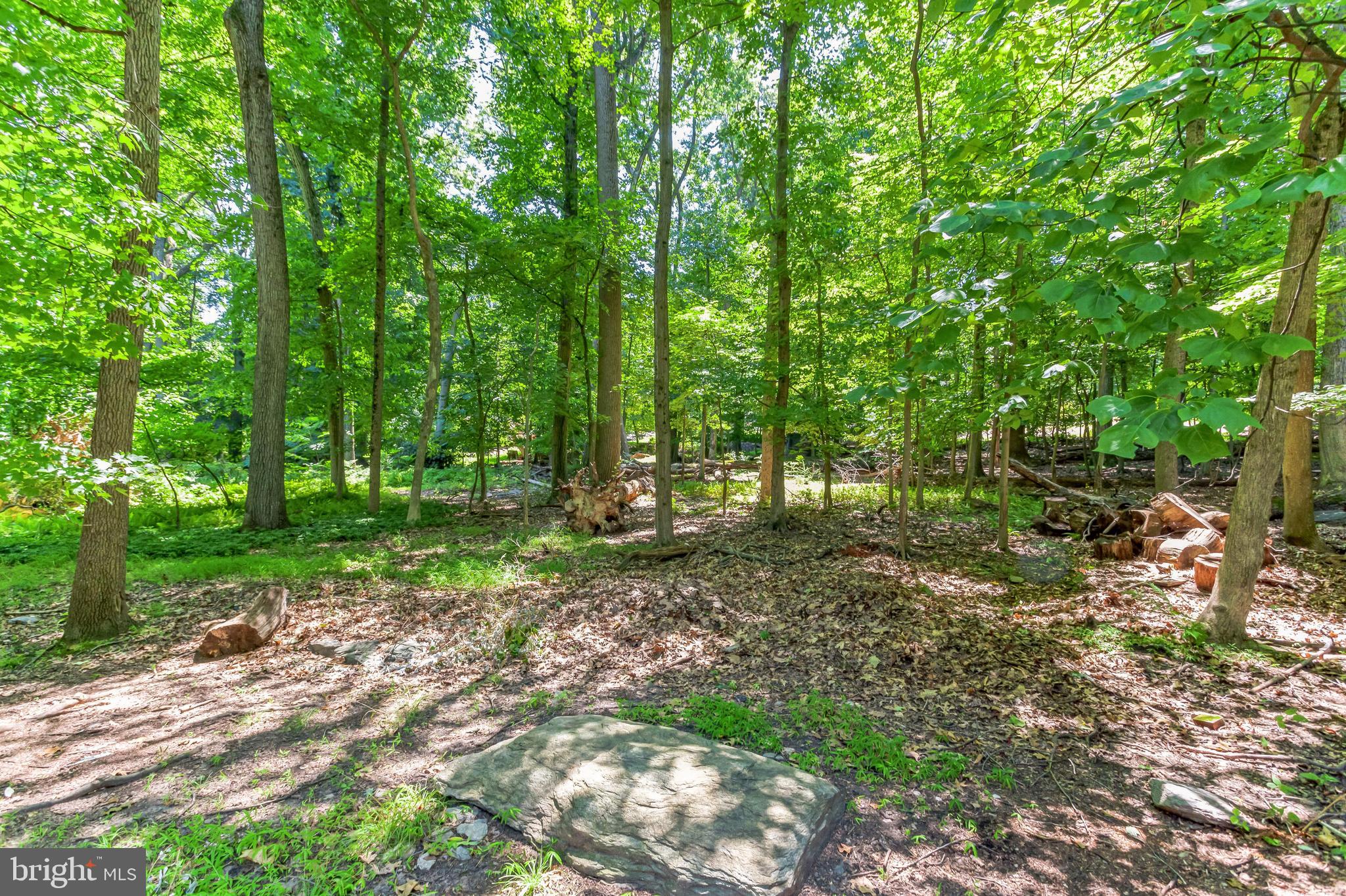 2235 Willow Brook Dr