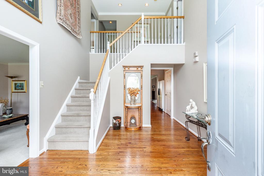 530 Olivia Way