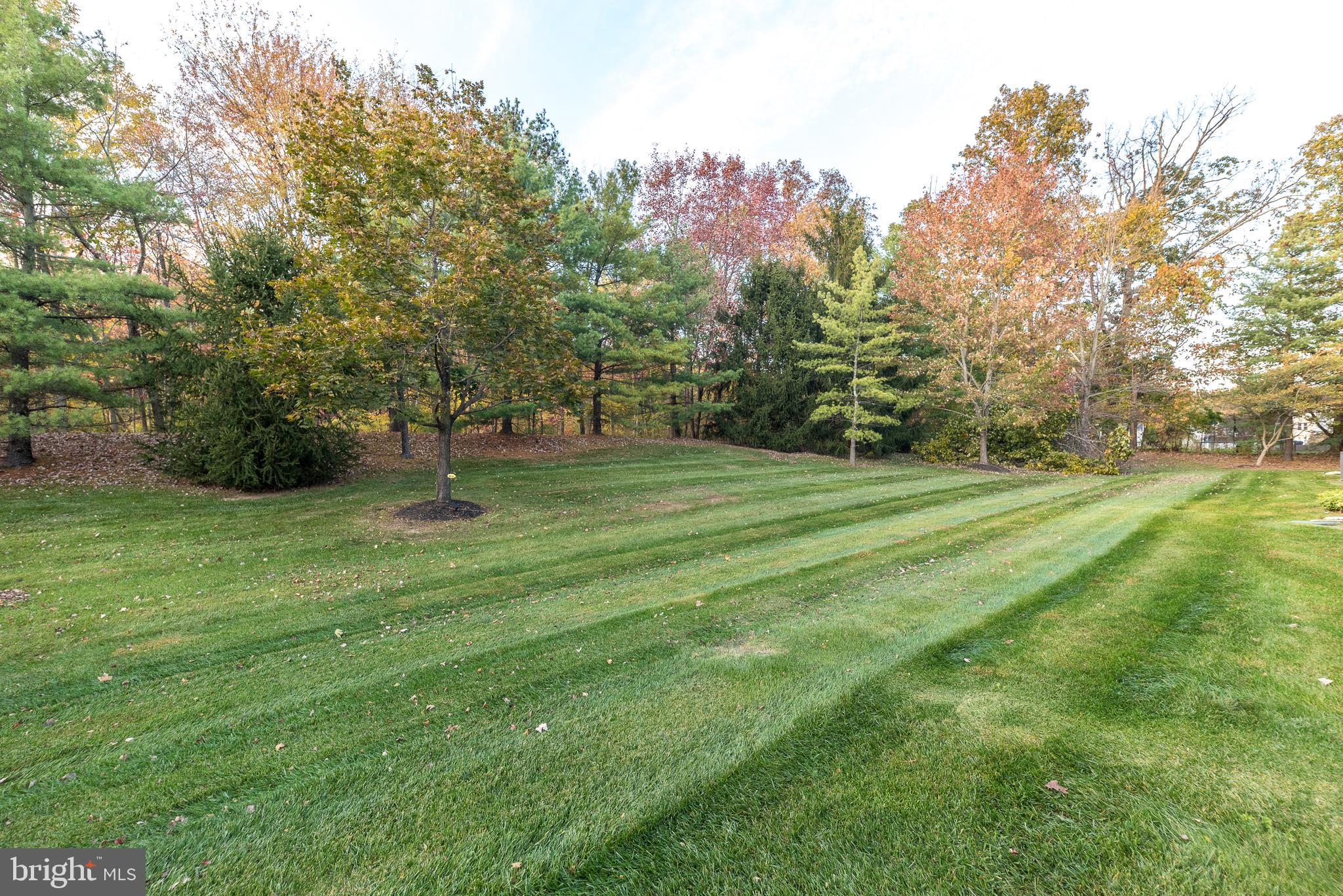 137 STEEPLECHASE DRIVE