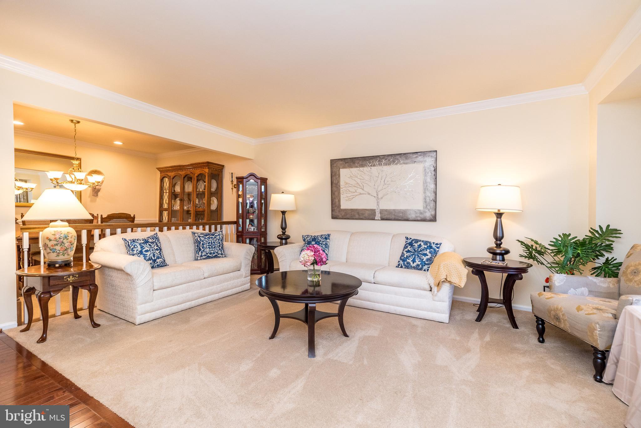 137 STEEPLECHASE DRIVE