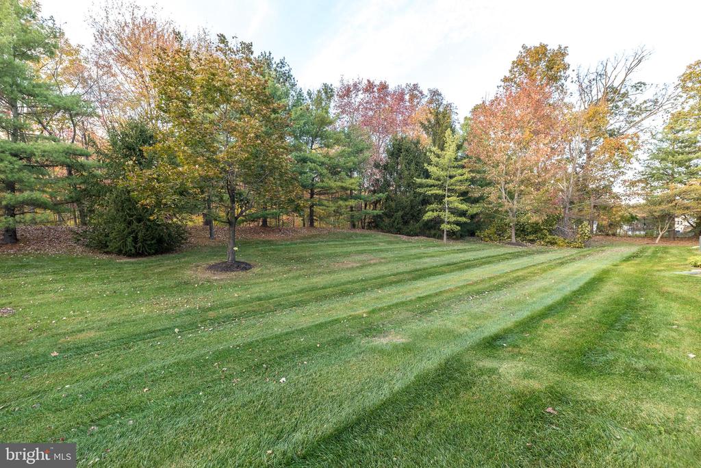 137 STEEPLECHASE DRIVE
