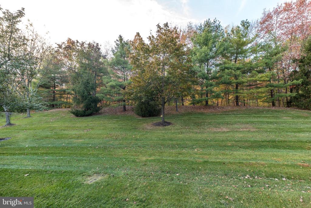 137 STEEPLECHASE DRIVE