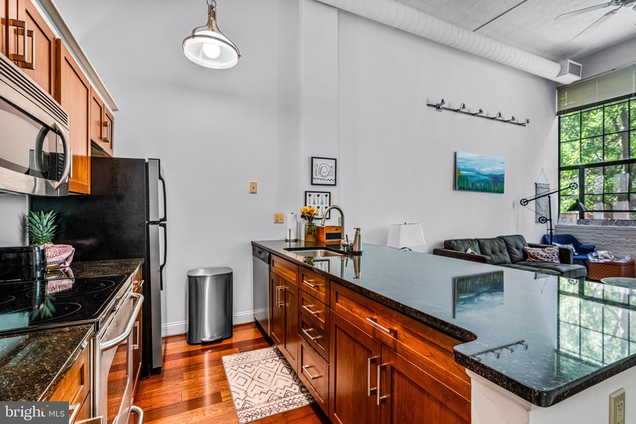 2429-41 Locust St #219