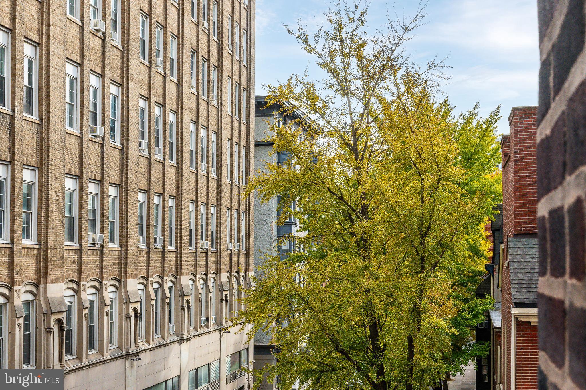 250 S 13TH STREET 3E