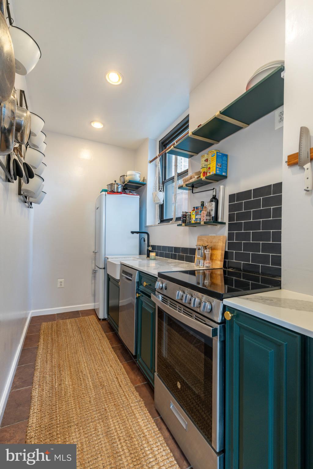 250 S 13TH STREET 3E