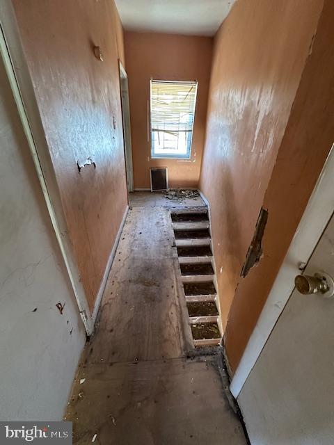 1530 S LECOUNT STREET