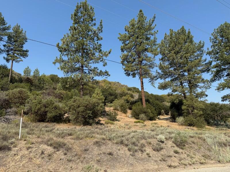 0 Pipe Creek Road