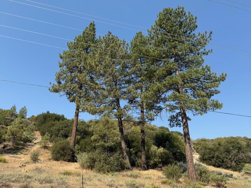 0 Pipe Creek Road