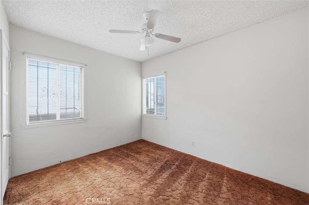 Empty bedroom with rust-colored carpet, two windows, and a ceiling fan.