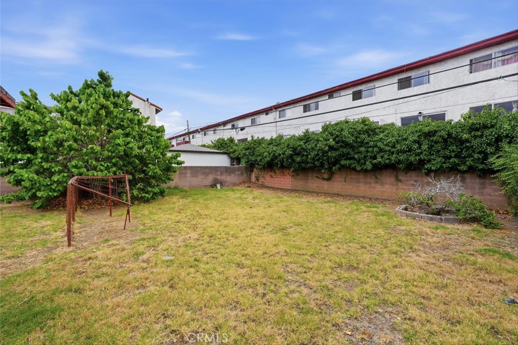 Backyard with a broad lawn, leafy tree, and brick wall topped by hedges.