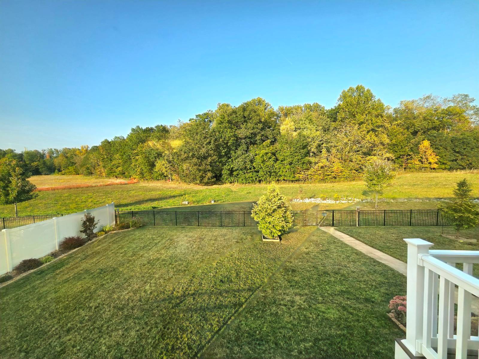 12584 Caribou Ct