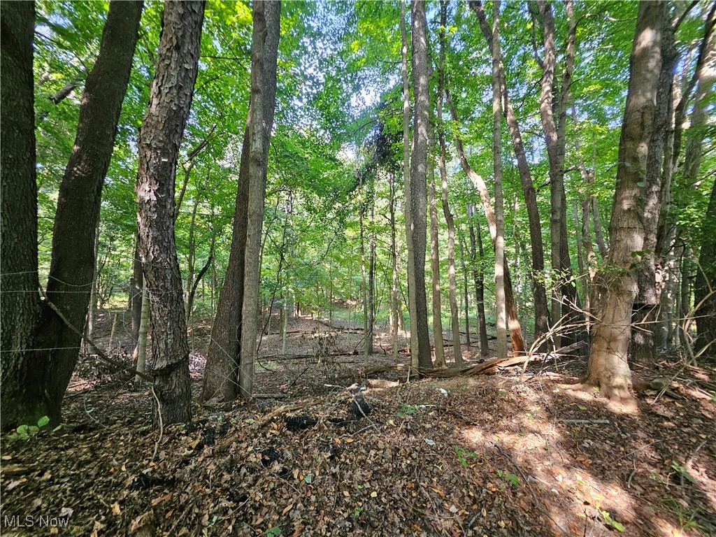 329 Druerie Lane