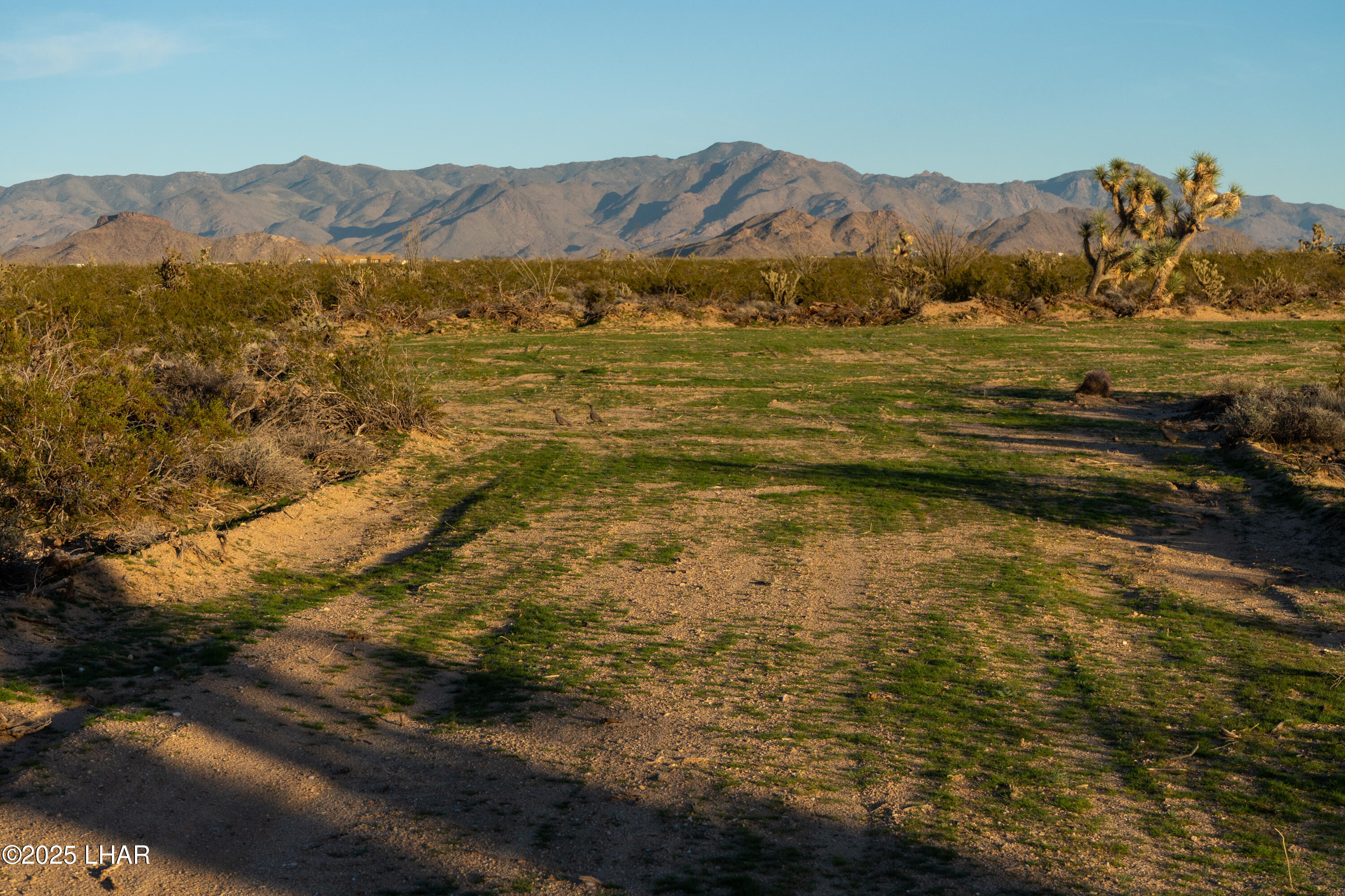 Lot 30 S Carmen Rd
