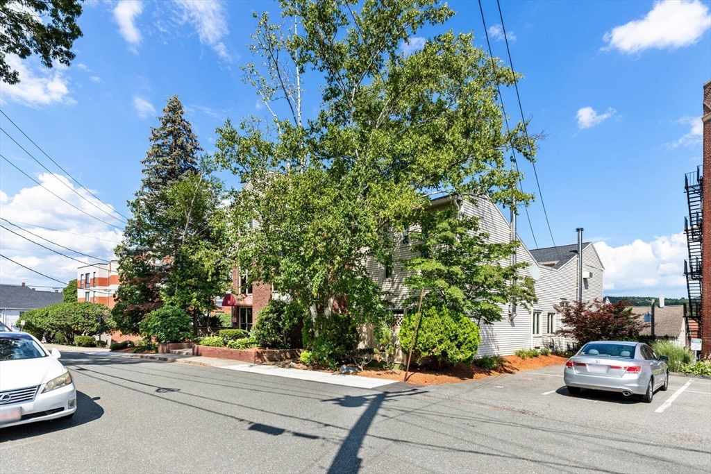 29 Vine Street # 7