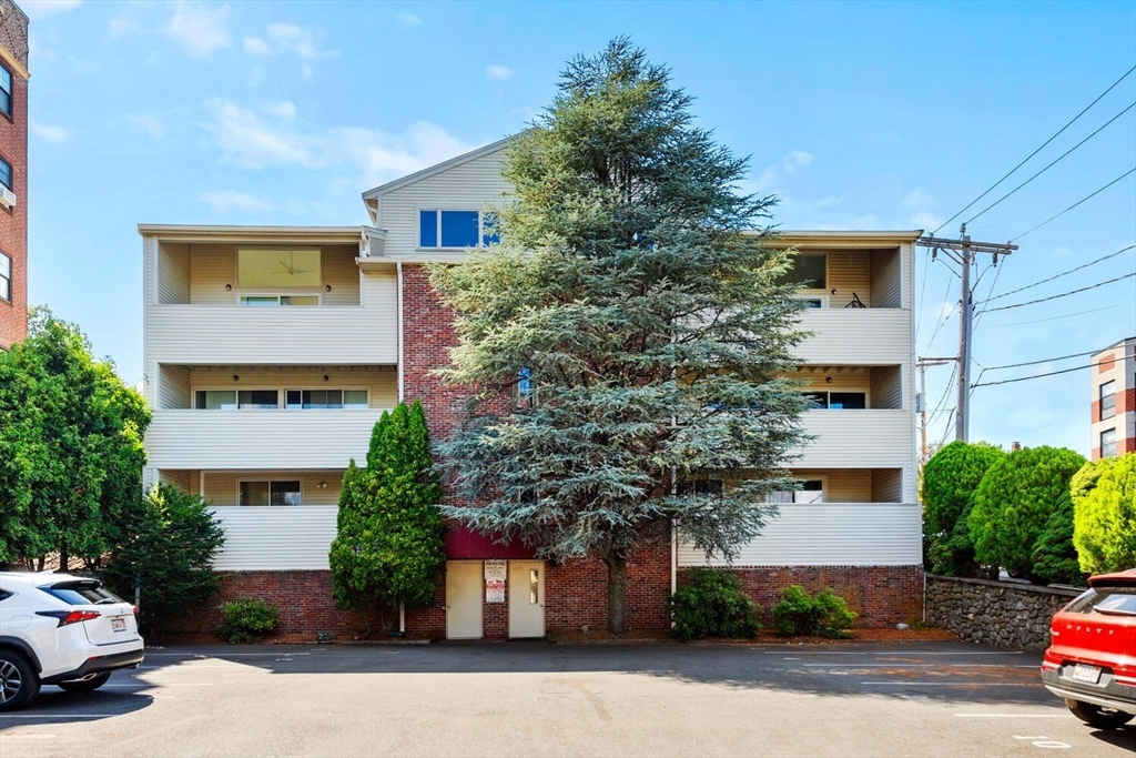 29 Vine Street # 7