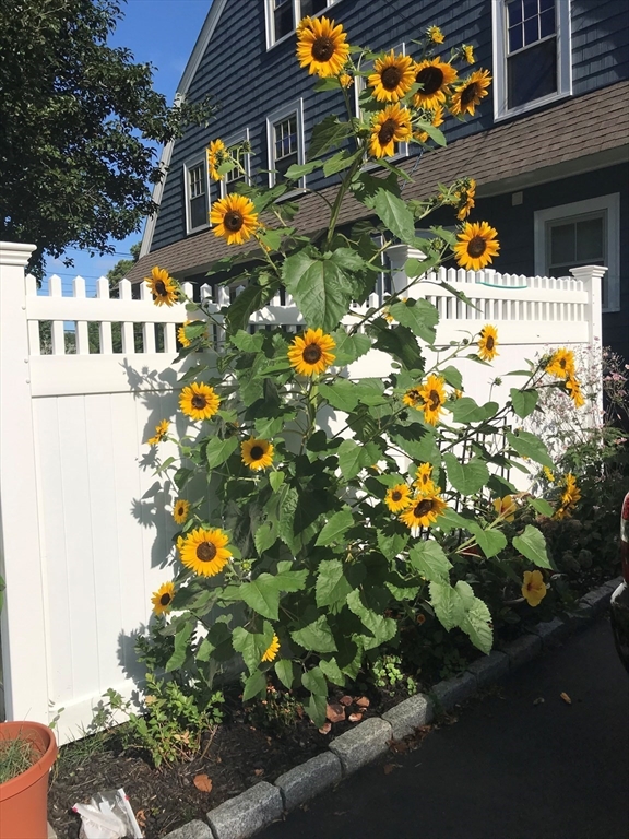 259 Washington Street