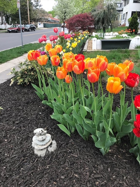 259 Washington Street