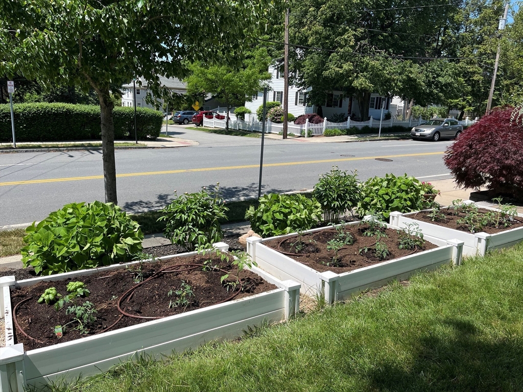 259 Washington Street