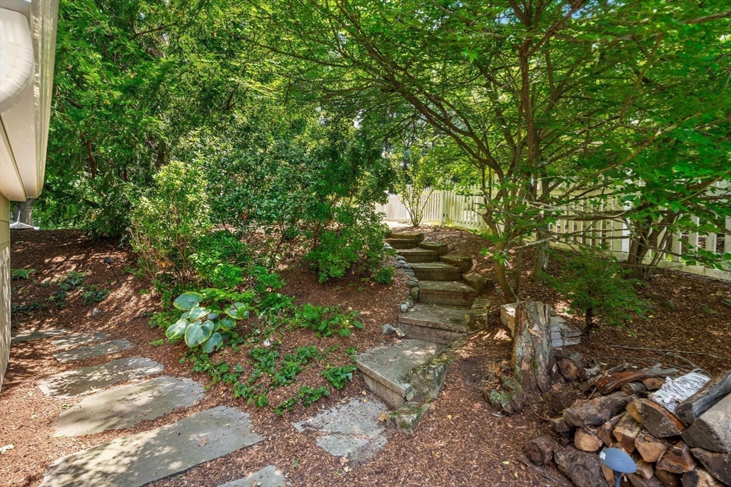 4 Daniels St