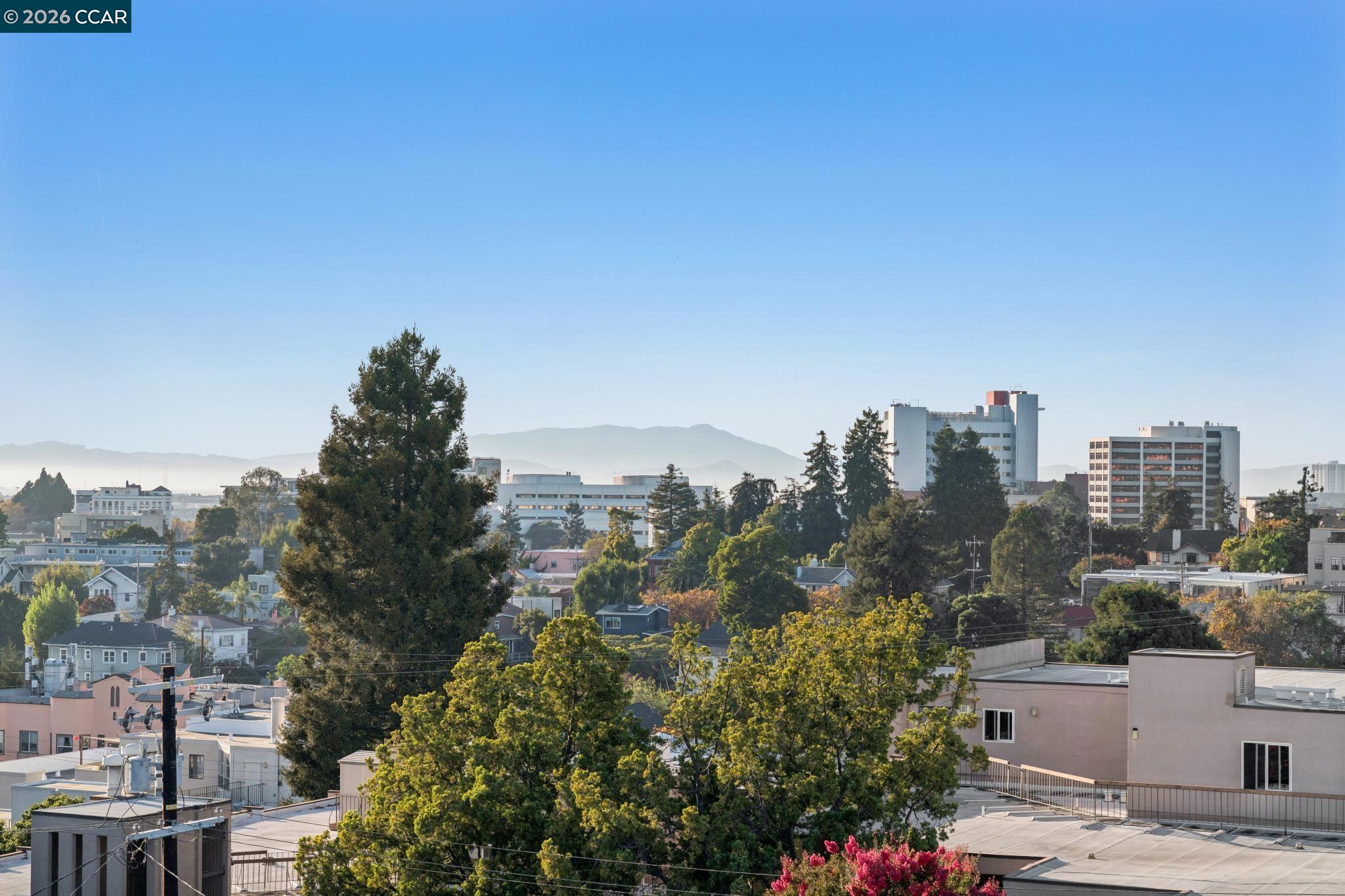 Oakland city view over leafy rooftops toward mid-rise buildings and distant hills.