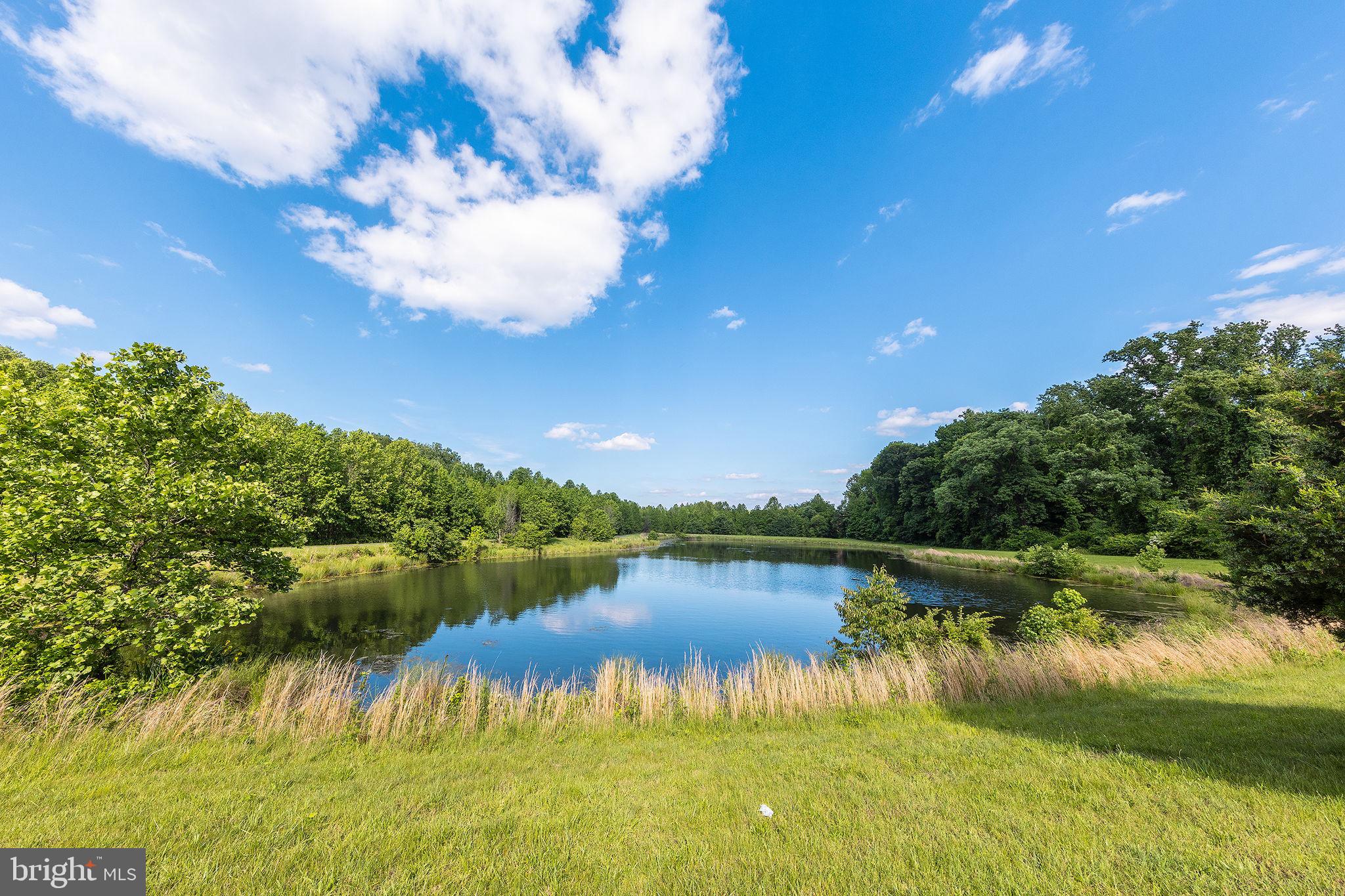 12800 Libertys Delight Dr #403