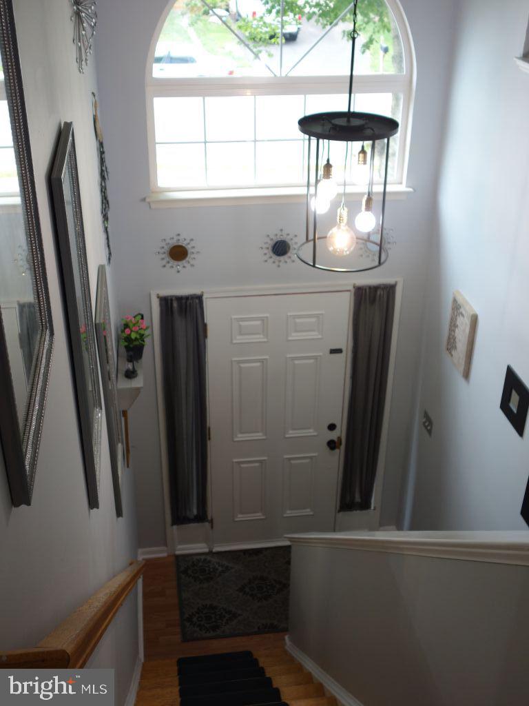 9301 Joshua Ct