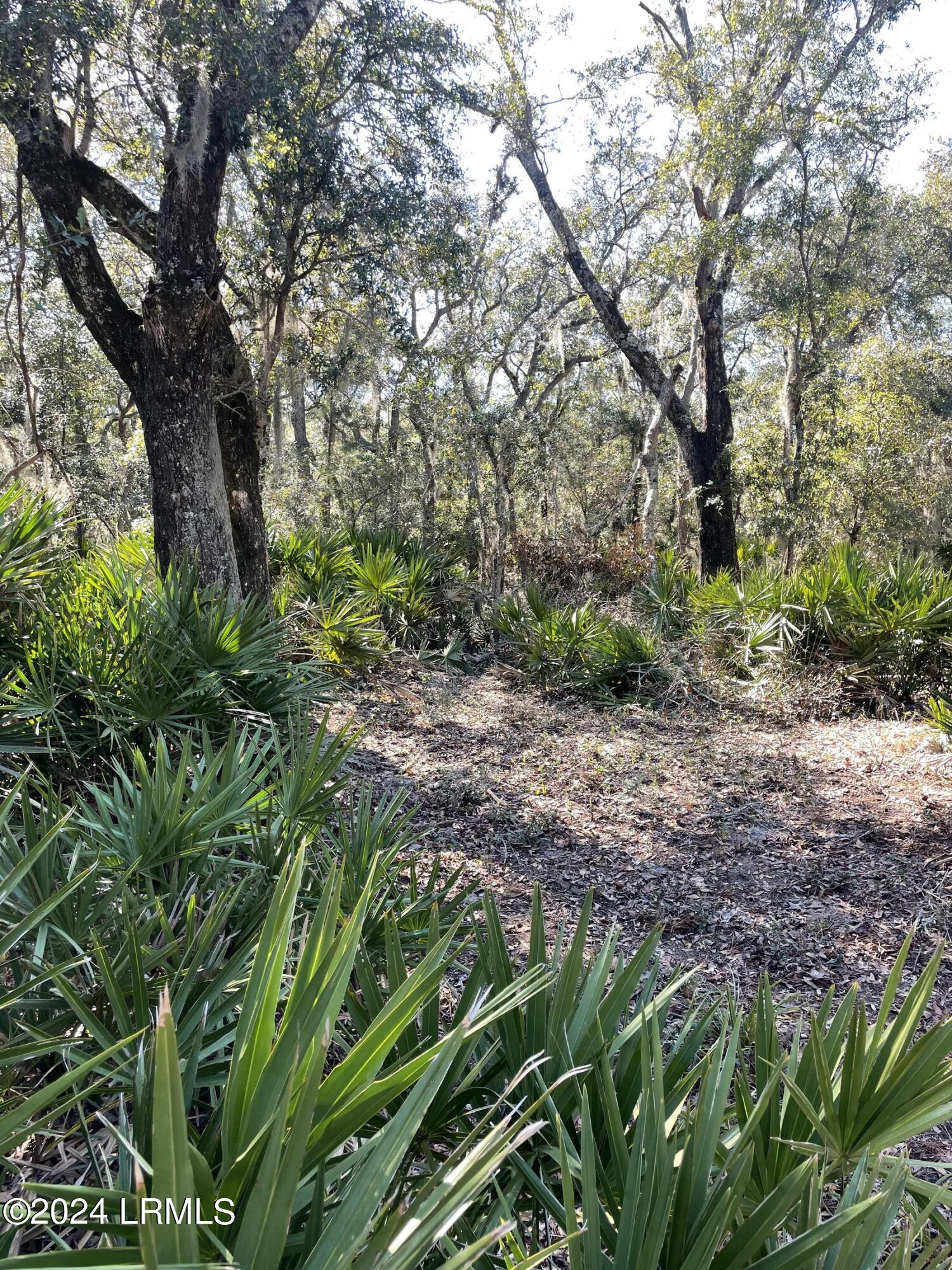 106 Sea Pines Drive