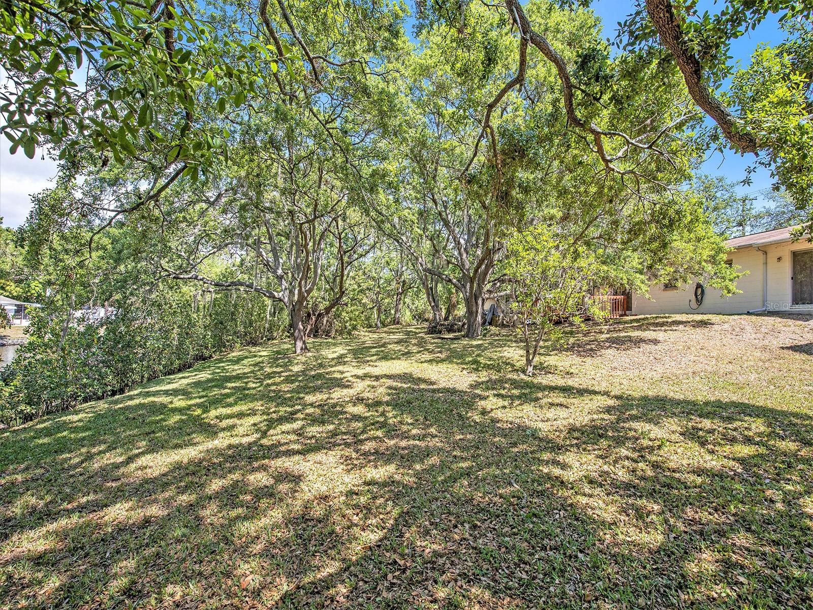 8431 JACKSON SPRINGS RD