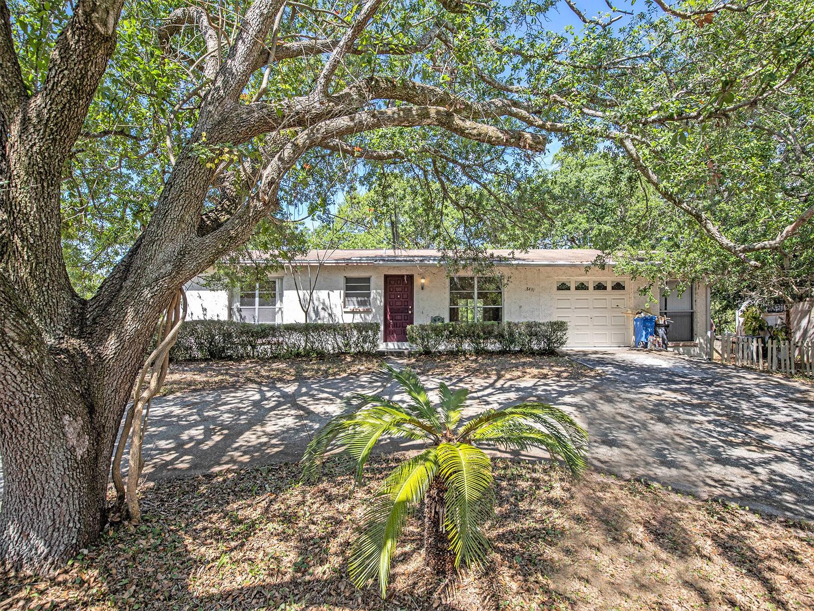 8431 JACKSON SPRINGS RD