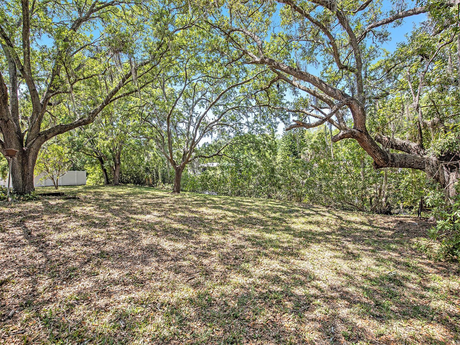 8431 JACKSON SPRINGS RD