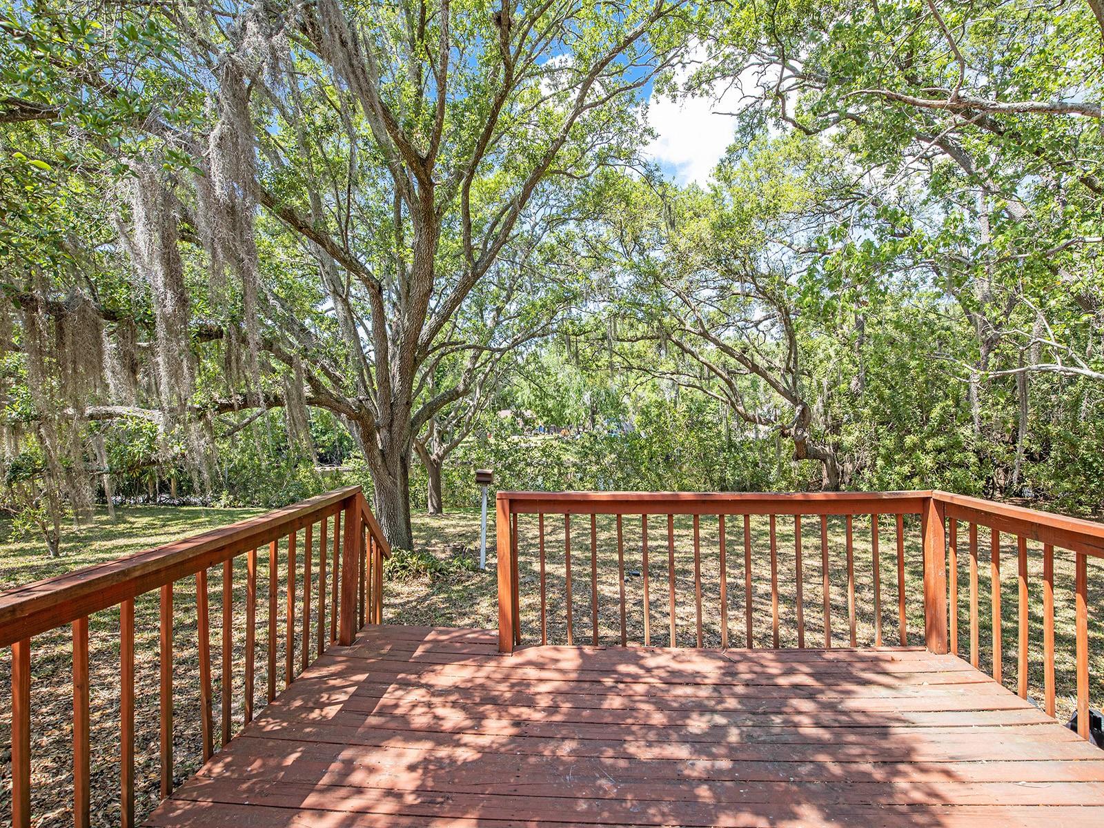 8431 JACKSON SPRINGS RD