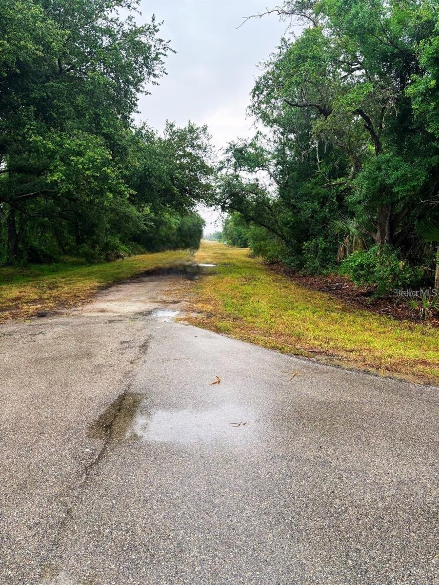 PUNTA GORDA