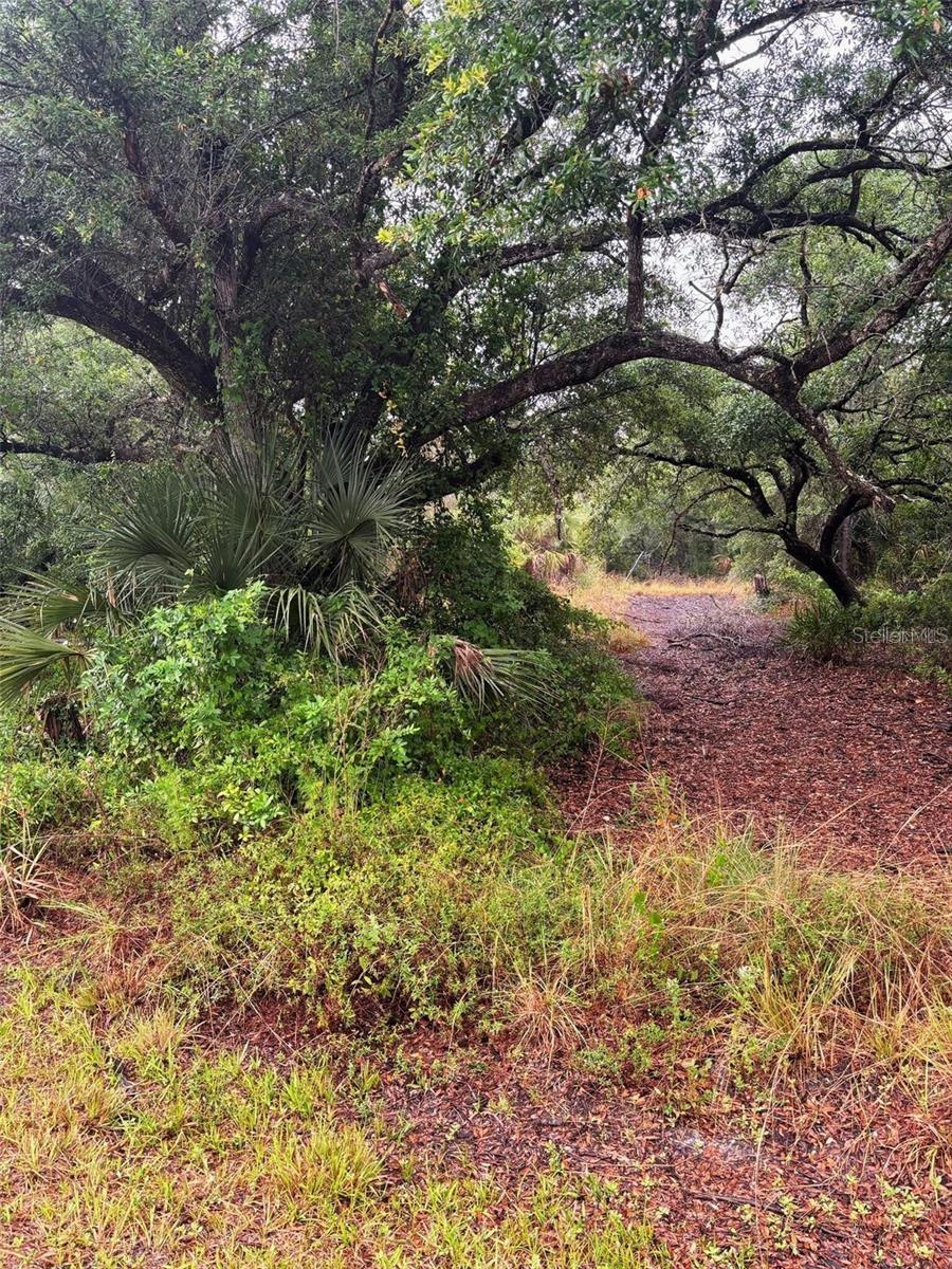 PUNTA GORDA