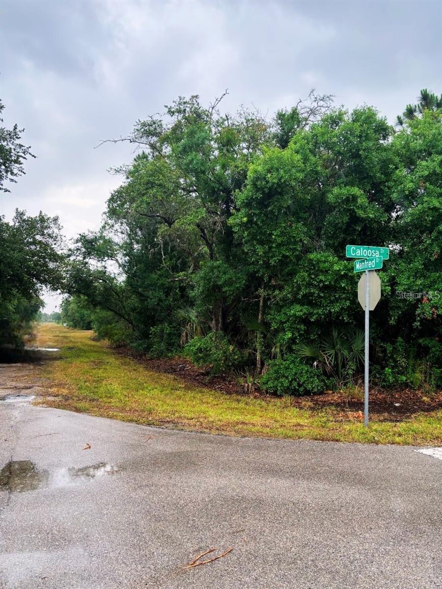 PUNTA GORDA