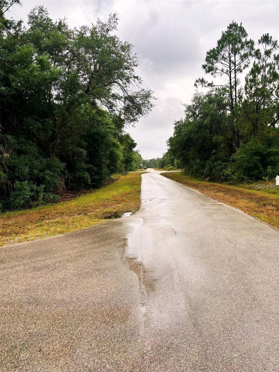 PUNTA GORDA