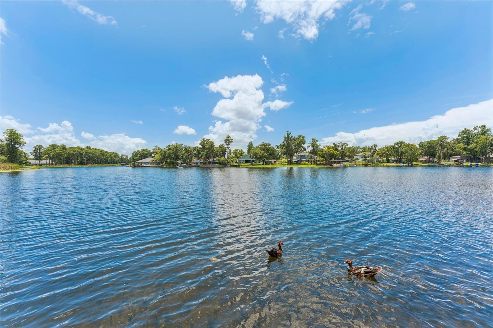 5704 HALF MOON LAKE RD