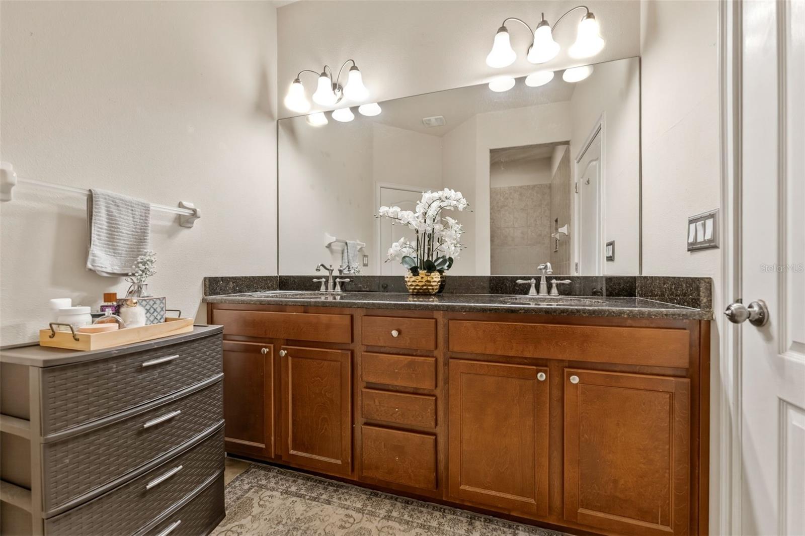 10285 VILLA PALAZZO CT