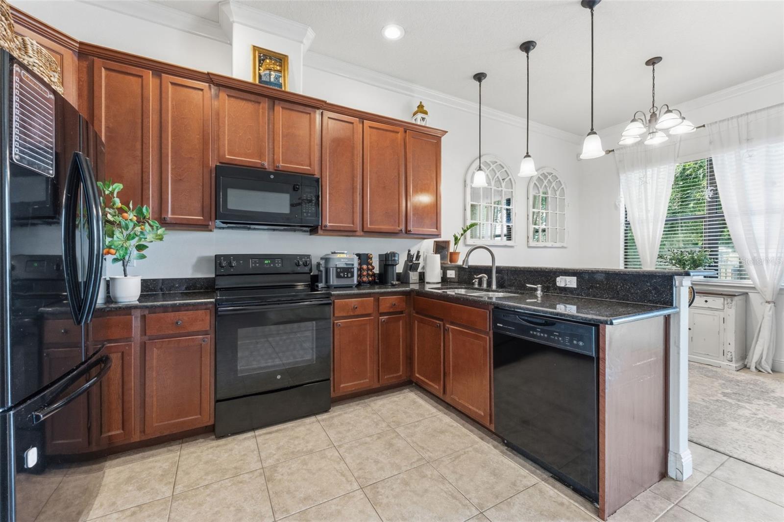 10285 VILLA PALAZZO CT
