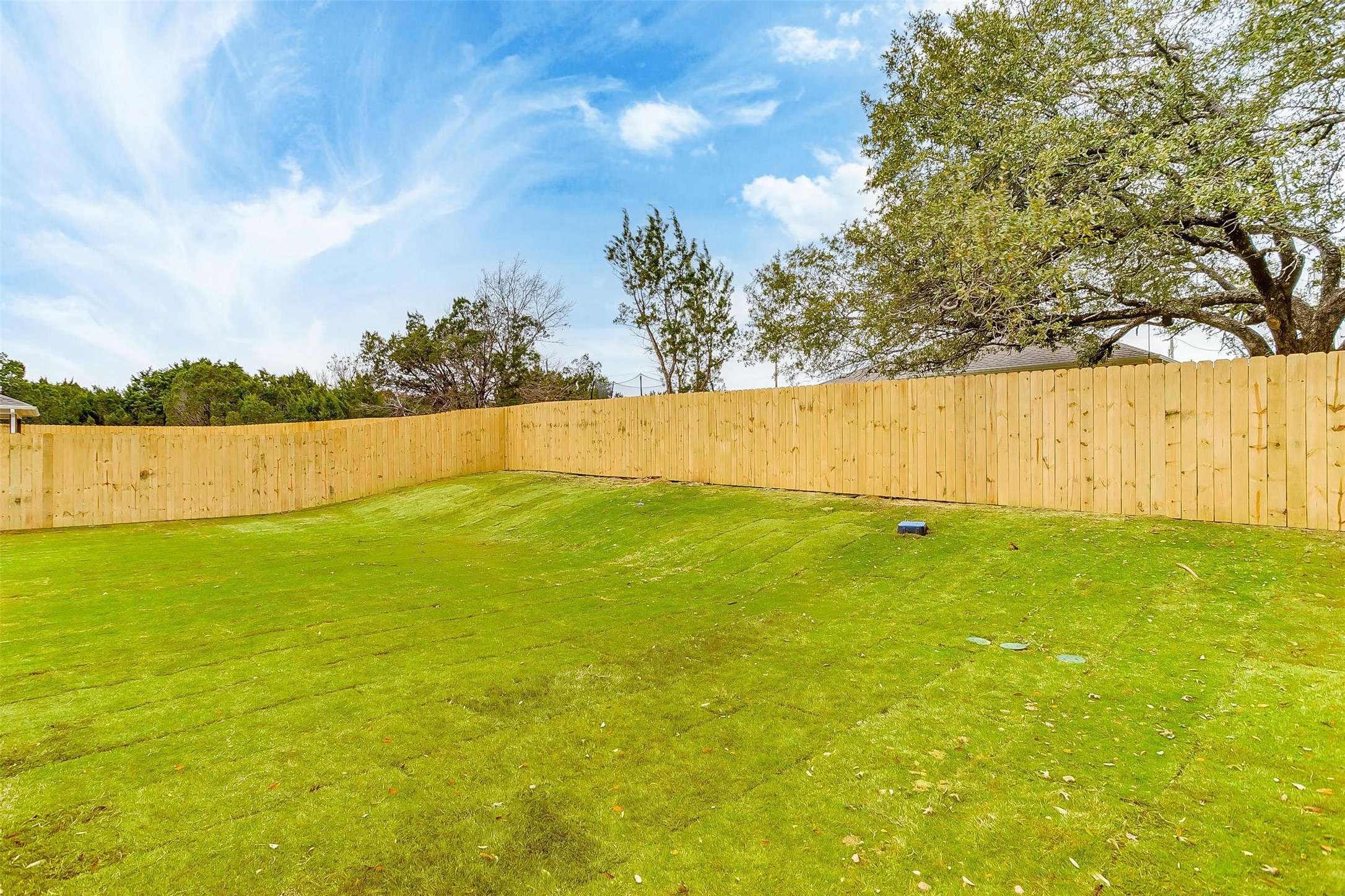 2308 Pedernales Court