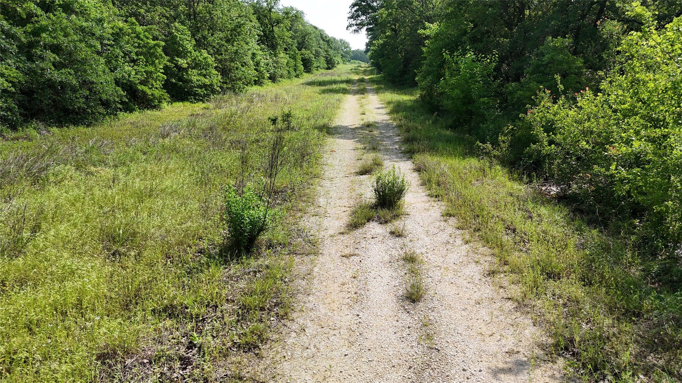1181 HCR 1439 Road