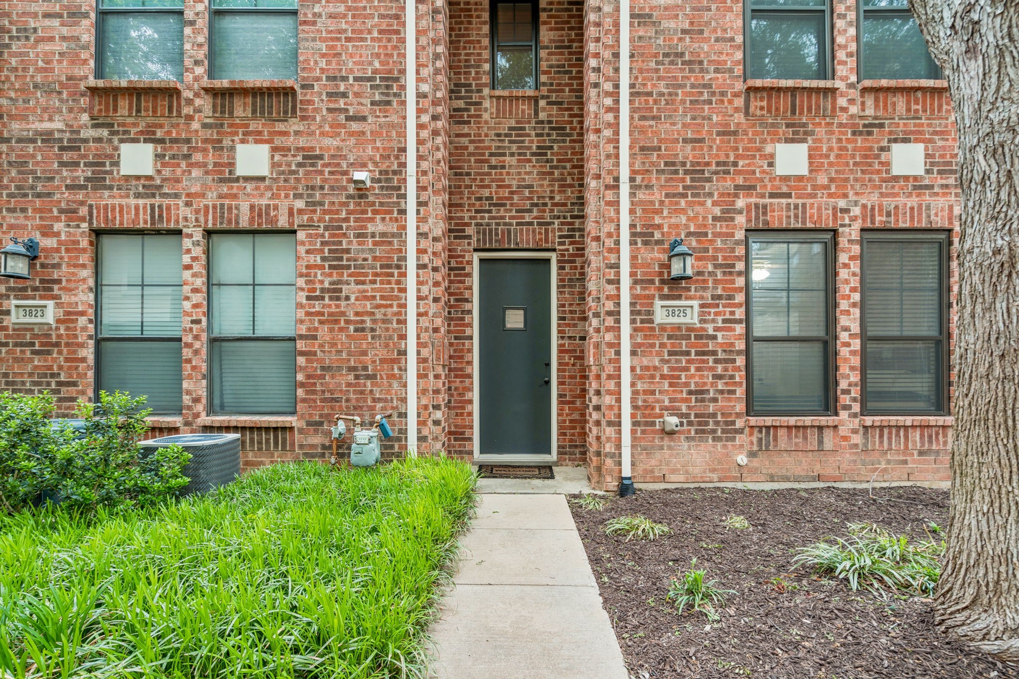 3825 Birkdale Drive