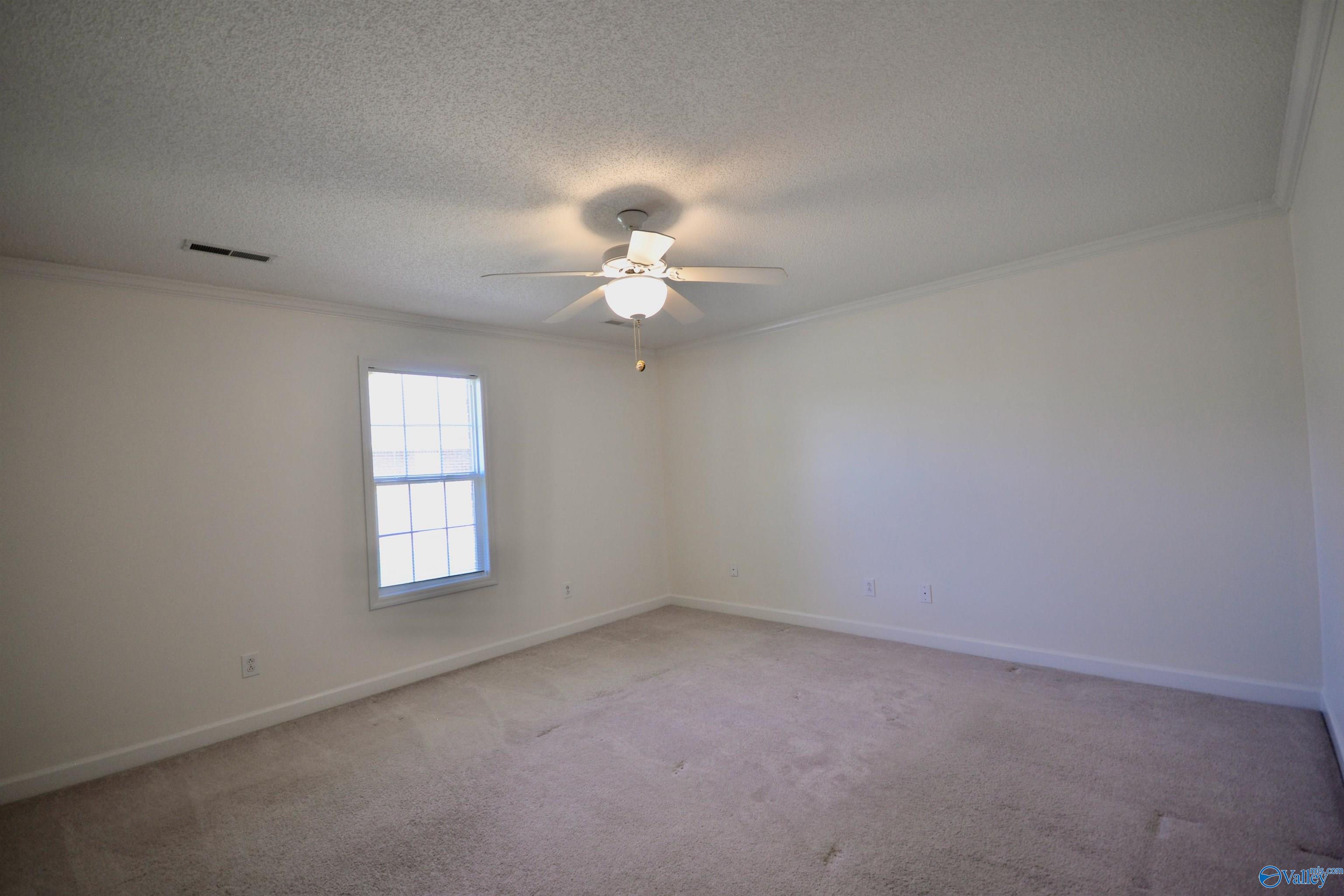211 Williston Drive